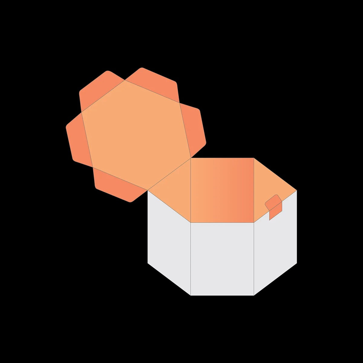 Custom Printed Hexagon 2 PC Boxes