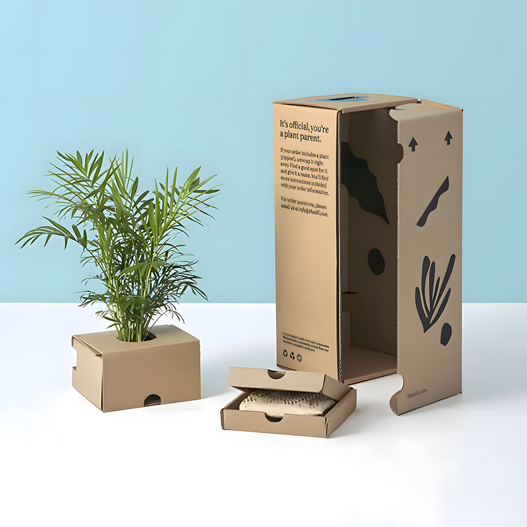Eco Friendly Boxes