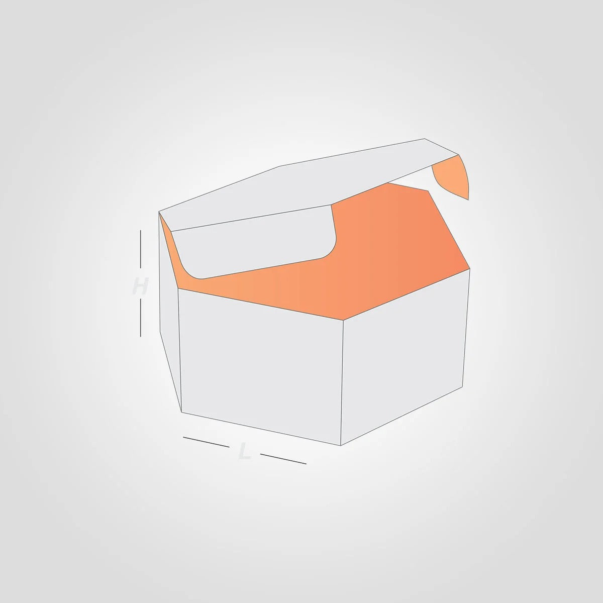 Custom Printed Hexagon Boxes