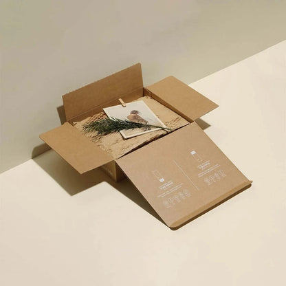 Box Packaging